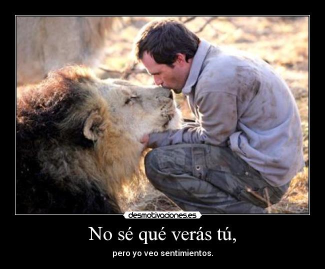 No sé qué verás tú, -