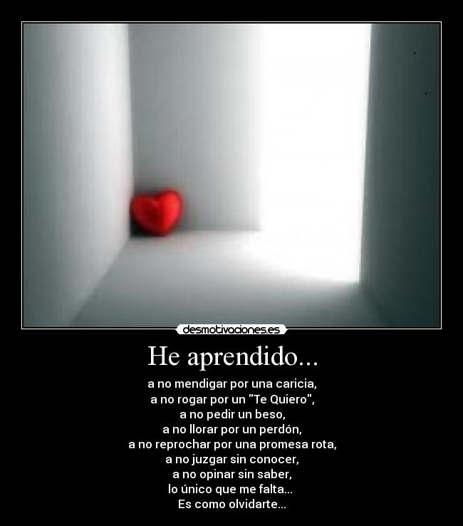 carteles aprendido desmotivaciones