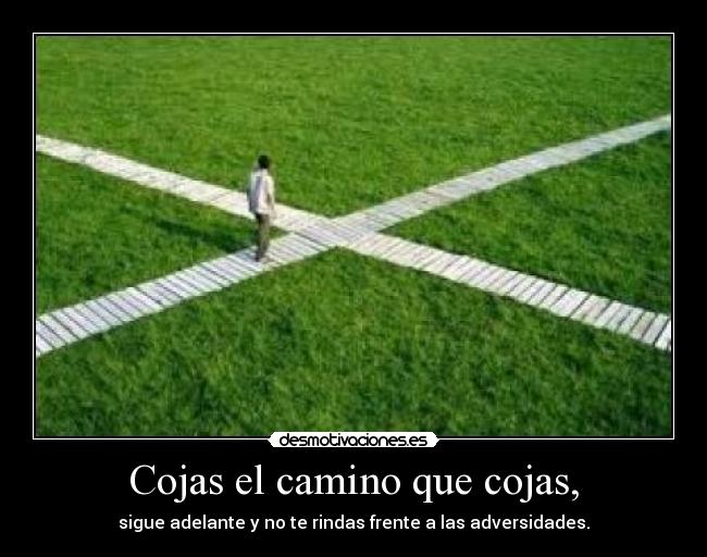 Cojas el camino que cojas, - sigue adelante y no te rindas frente a las adversidades.