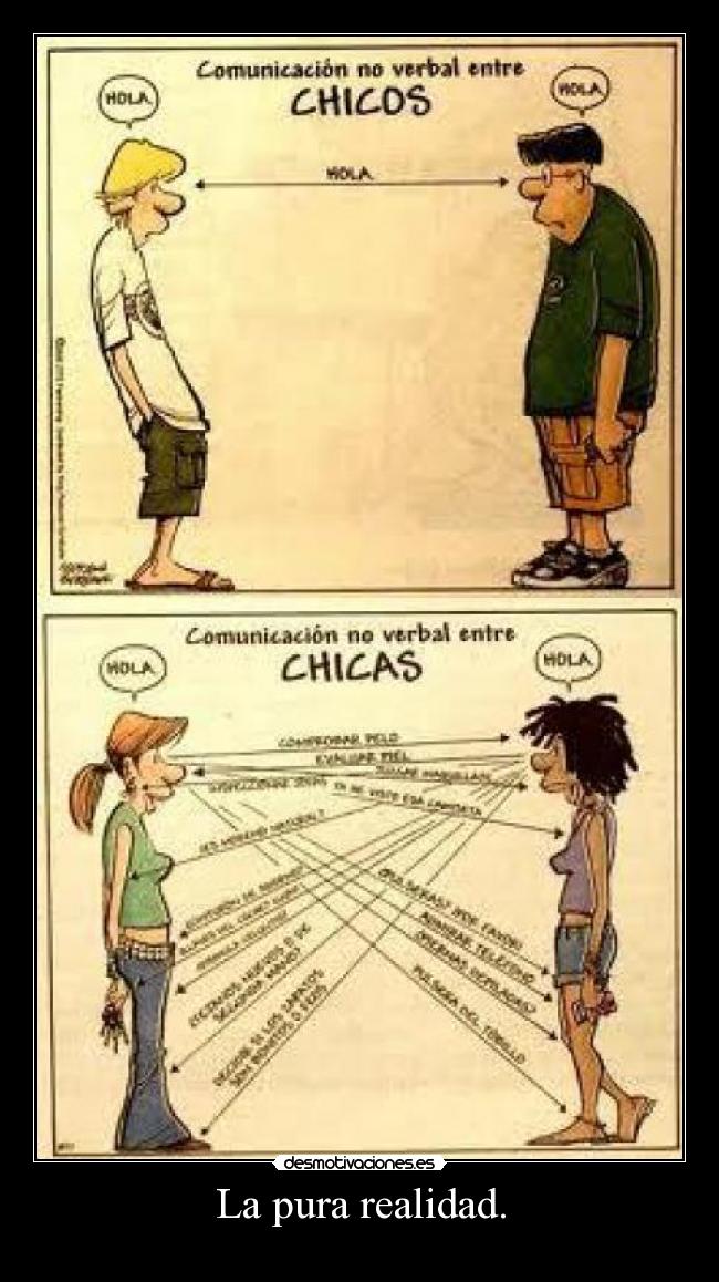 La pura realidad. - 