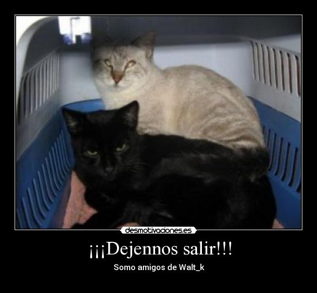 ¡¡¡Dejennos salir!!! - Somo amigos de Walt_k