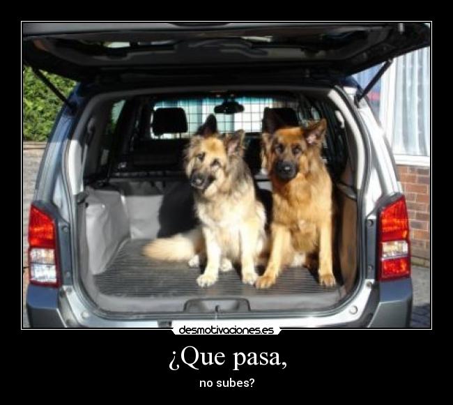 ¿Que pasa, - no subes?