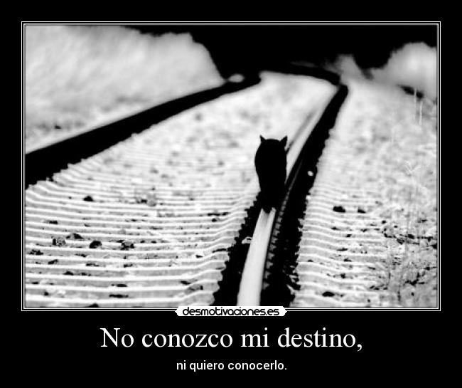 No conozco mi destino, - 