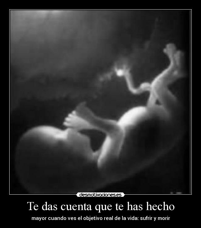 carteles 12345678910 desmotivaciones