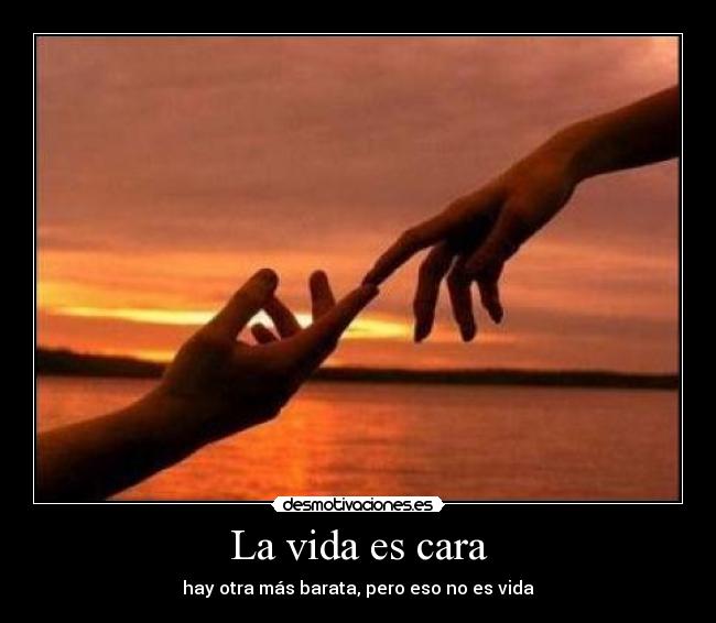 La vida es cara - hay otra más barata, pero eso no es vida