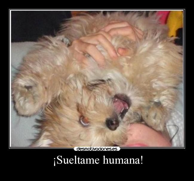¡Sueltame humana! -
