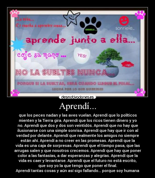 Aprendí... - que los peces nadan y las aves vuelan. Aprendí que lo políticos
mienten y la Tierra gira. Aprendí que los ricos tienen dinero y yo
no. Aprendí que dos y dos son veintidós. Aprendí que no hay que
ilusionarse con una simple sonrisa. Aprendí que hay que ir con al
verdad por delante. Aprendí que realmente los amigos no siempre
están ahí. Aprendí a no creer en las promesas. Aprendí que la
vida es una caja de sorpresas. Aprendí que el tiempo pasa, que las
arrugas salen y que nosotros crecemos. Aprendí que hay que poner
color a las fantasías, a dar esperanzas y alegrías. Aprendí que la
vida es caer y levantarse. Aprendí que el futuro no está escrito,
que soy yo la que tengo que poner el final.
Aprendí tantas cosas y aún así sigo fallando... porque soy humana