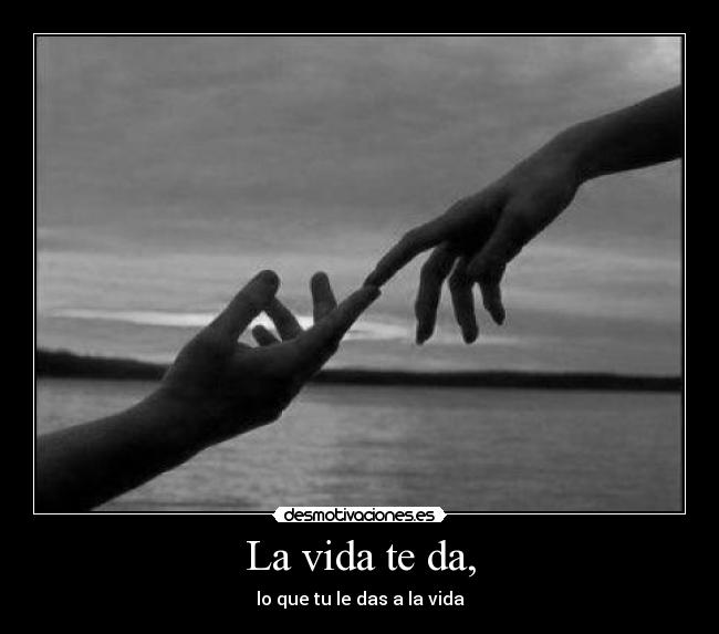 carteles vida kungo konguito yeray desmotivaciones