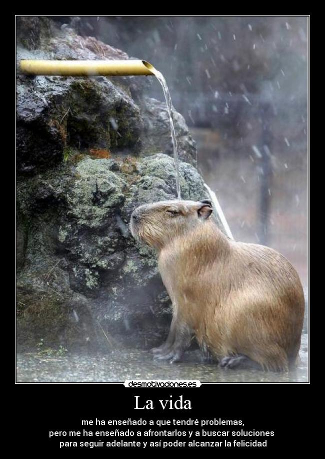 La vida - me ha enseñado a que tendré problemas,
pero me ha enseñado a afrontarlos y a buscar soluciones
para seguir adelante y así poder alcanzar la felicidad