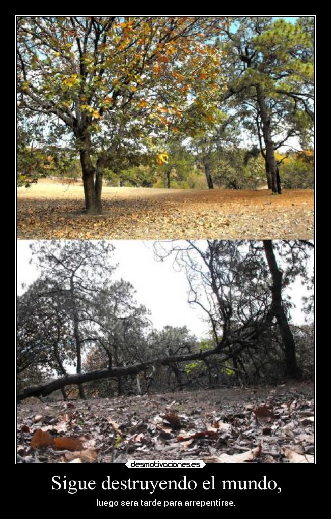 Sigue destruyendo el mundo, -