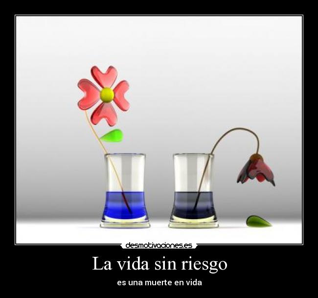 La vida sin riesgo - es una muerte en vida