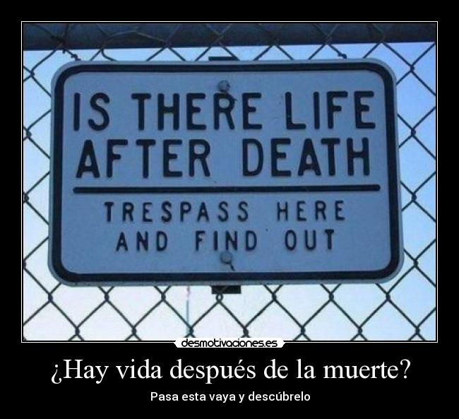 carteles vida muerte vida despues muerte cartel desmotivaciones