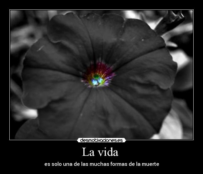 carteles vida vida muerte formas desmotivaciones