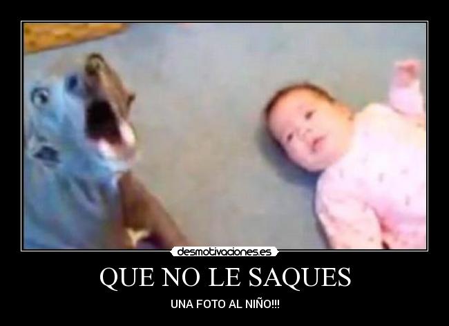 QUE NO LE SAQUES -