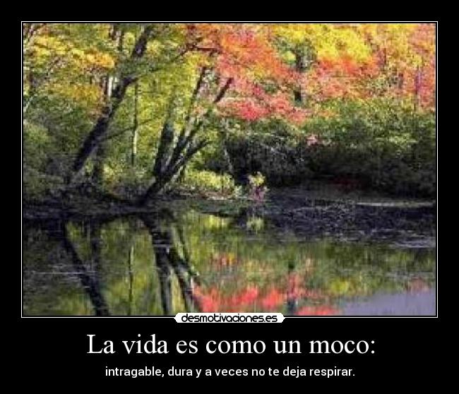 La vida es como un moco: - intragable, dura y a veces no te deja respirar.