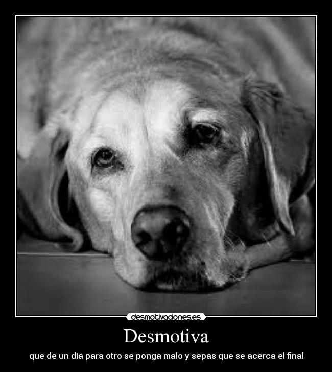 Desmotiva - 