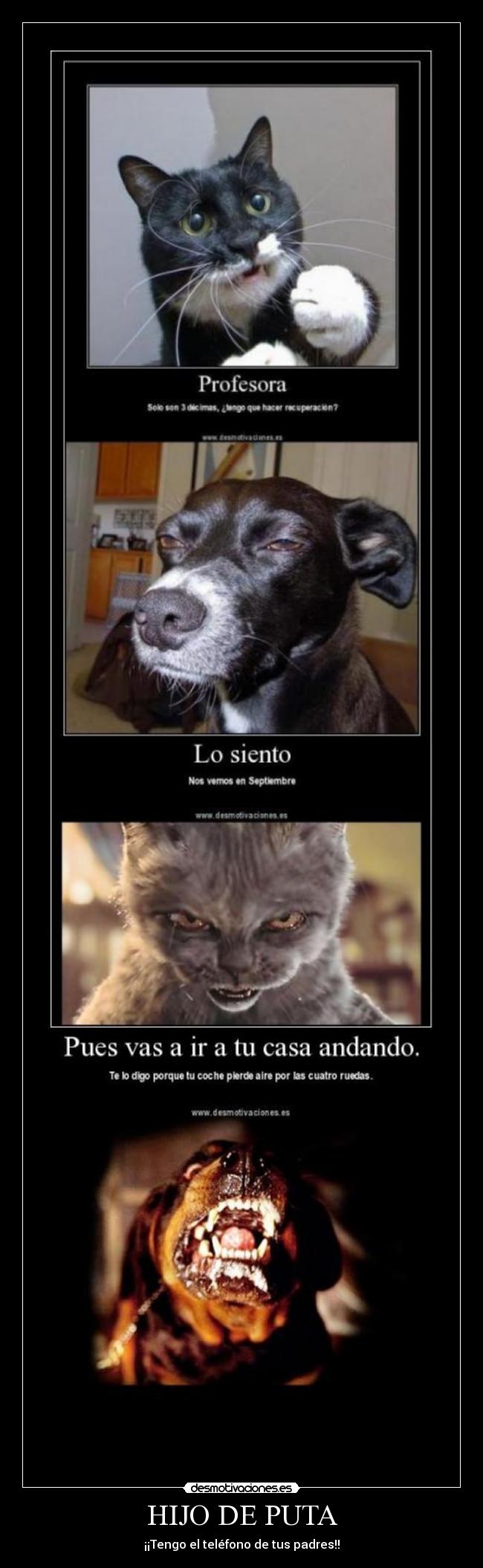 HIJO DE PUTA - ¡¡Tengo el teléfono de tus padres!!