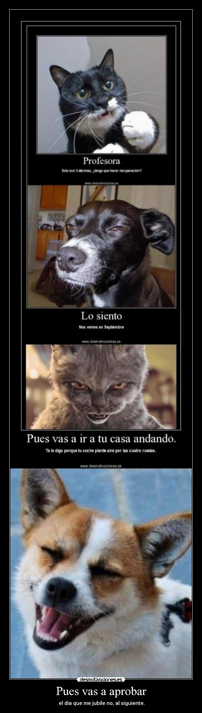 Pues vas a aprobar -