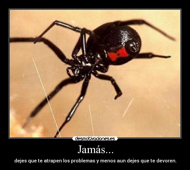 Jamás... - dejes que te atrapen los problemas y menos aun dejes que te devoren.