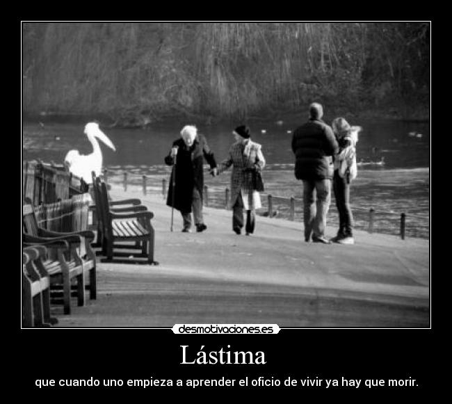Lástima -