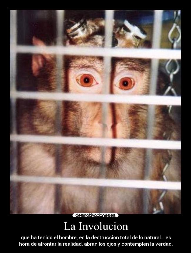 La Involucion - que ha tenido el hombre, es la destruccion total de lo natural... es
hora de afrontar la realidad, abran los ojos y contemplen la verdad.