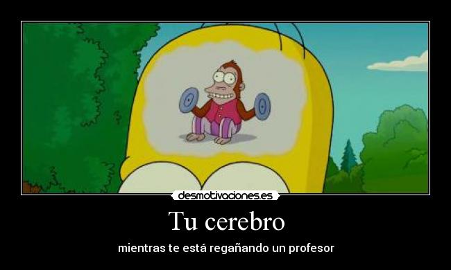Tu cerebro - 