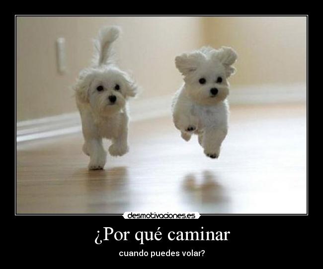 ¿Por qué caminar - 