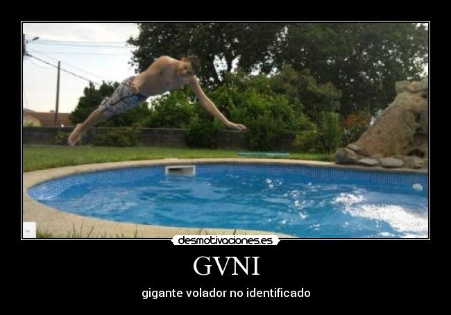 GVNI -