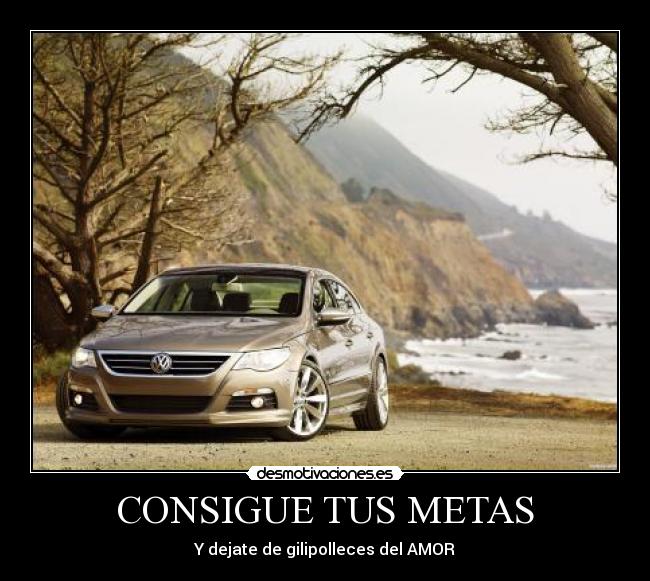 CONSIGUE TUS METAS - 