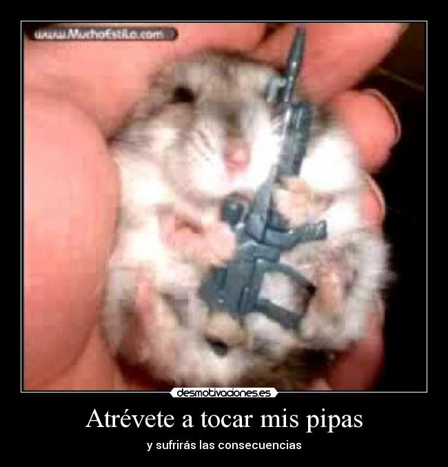 Atrévete a tocar mis pipas -