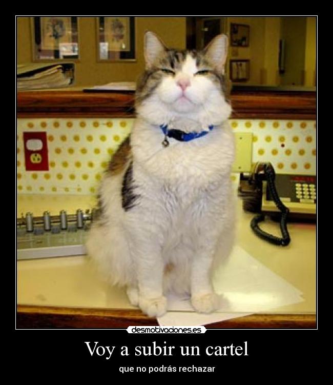 carteles padrino desmotivaciones