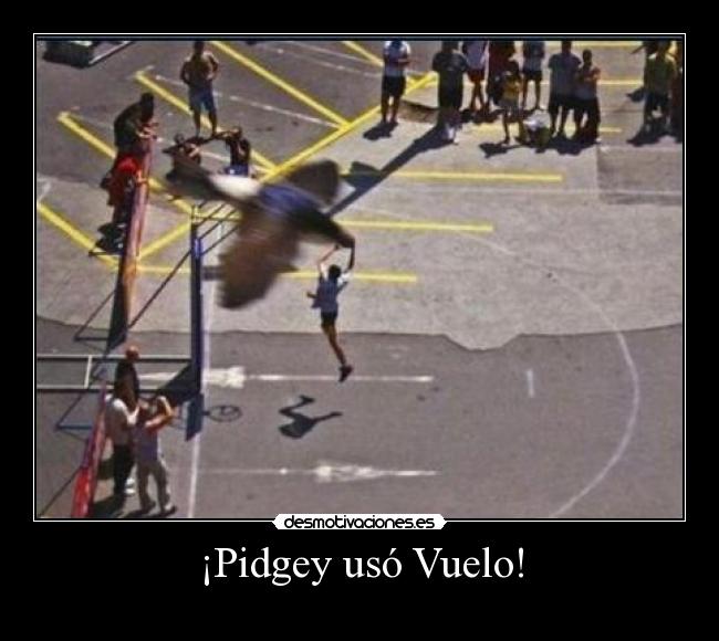 ¡Pidgey usó Vuelo! - 