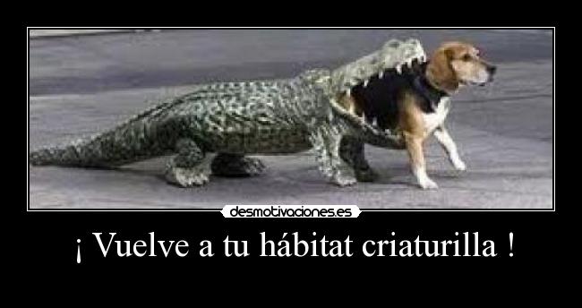 carteles 5359 desmotivaciones