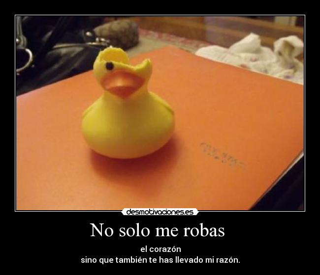 No solo me robas -