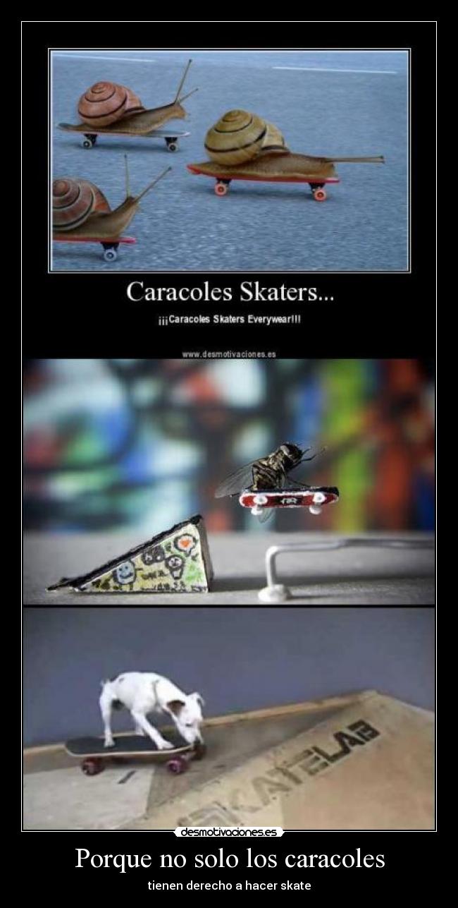 carteles pcl desmotivaciones