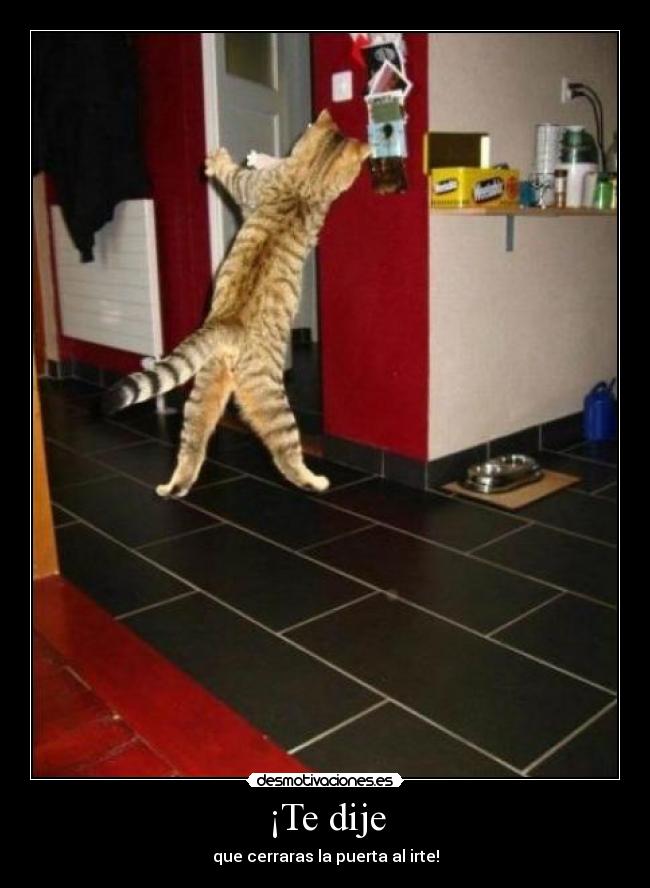 ¡Te dije - que cerraras la puerta al irte!