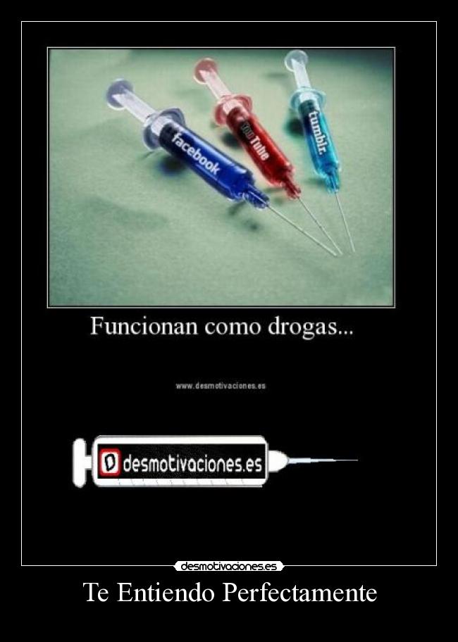 Te Entiendo Perfectamente -