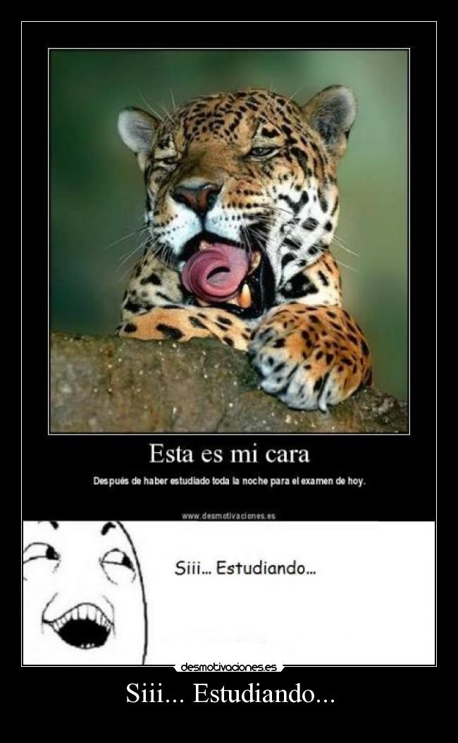 Siii... Estudiando... - 