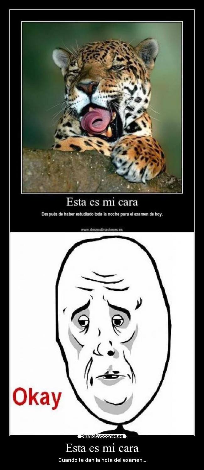Esta es mi cara - Cuando te dan la nota del examen...