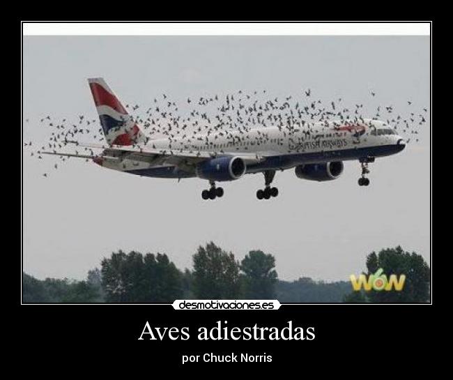 carteles avion desmotivaciones