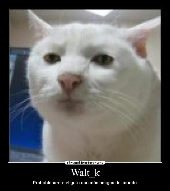 Walt_k -