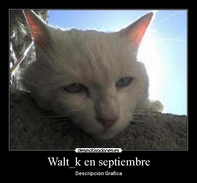 Walt_k en septiembre -