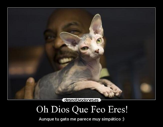 Oh Dios Que Feo Eres! -