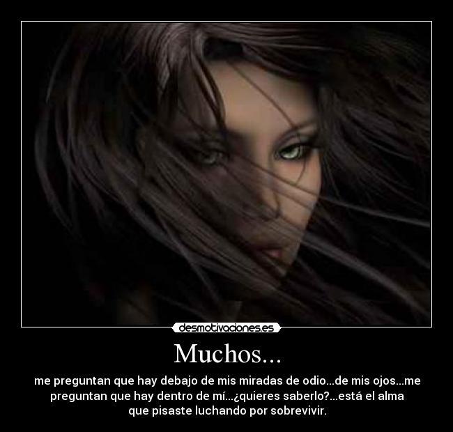 Muchos... - 