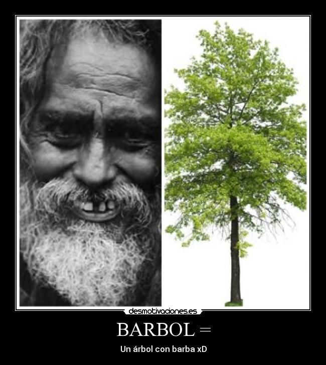 BARBOL = - Un árbol con barba xD