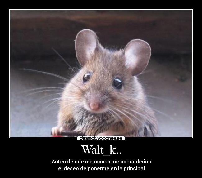 Walt_k.. -
