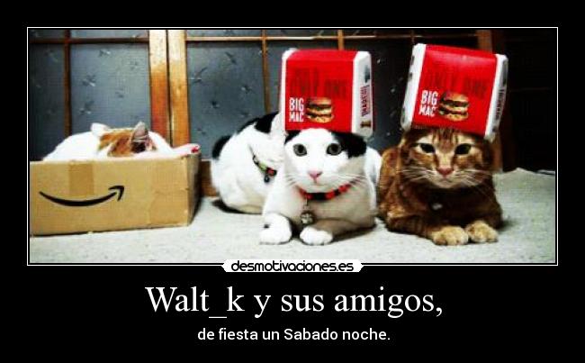 Walt_k y sus amigos, - de fiesta un Sabado noche.