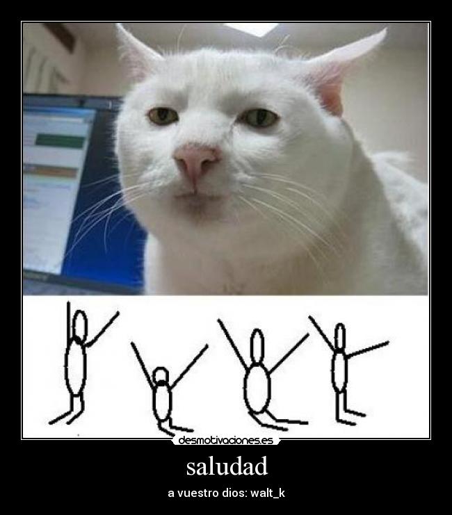 saludad - a vuestro dios: walt_k