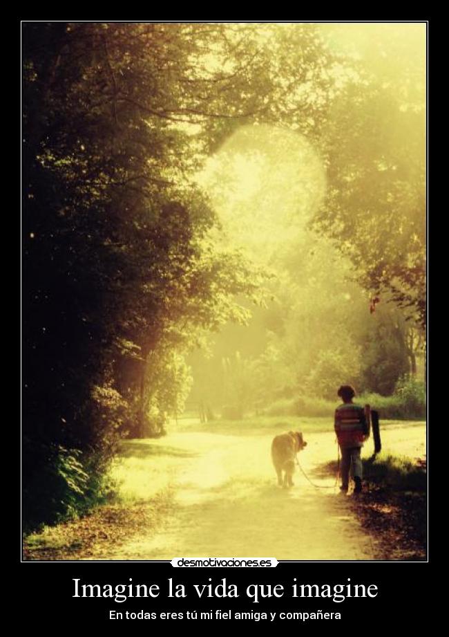 Imagine la vida que imagine -