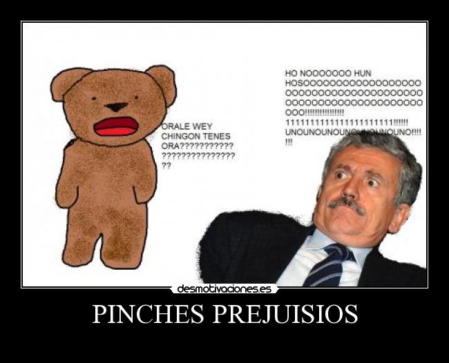 PINCHES PREJUISIOS - 